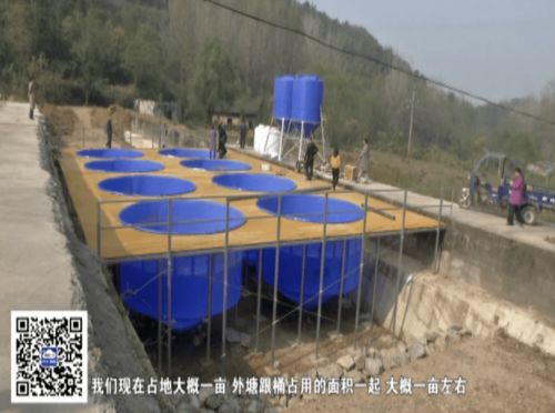 水产养殖转型升级 科技赋能与生态养殖共促农增收
