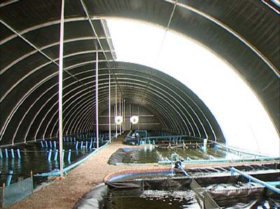 水产养殖_水产养殖基地_水产养殖图片大全
