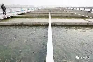 110平方米的养殖水槽产量胜过20亩的鱼塘,你信吗?