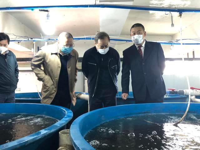 农资打假一刻也不能放松 水产养殖领域的护渔行动与长效之道
