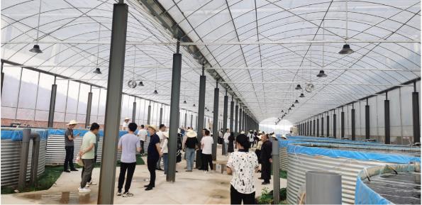 统战赋能新发展 乡村振兴满园春——江夏区统一战线助力水产养殖谱新篇